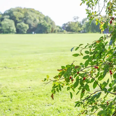 The Mount Street Townhouse Harrogate